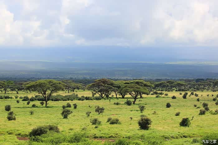 女儿圆梦狮子王2020寒假肯尼亚非洲大草原掠影