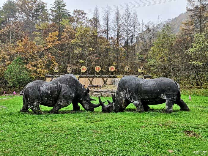 爱要大声说出来#自驾犀牛谷