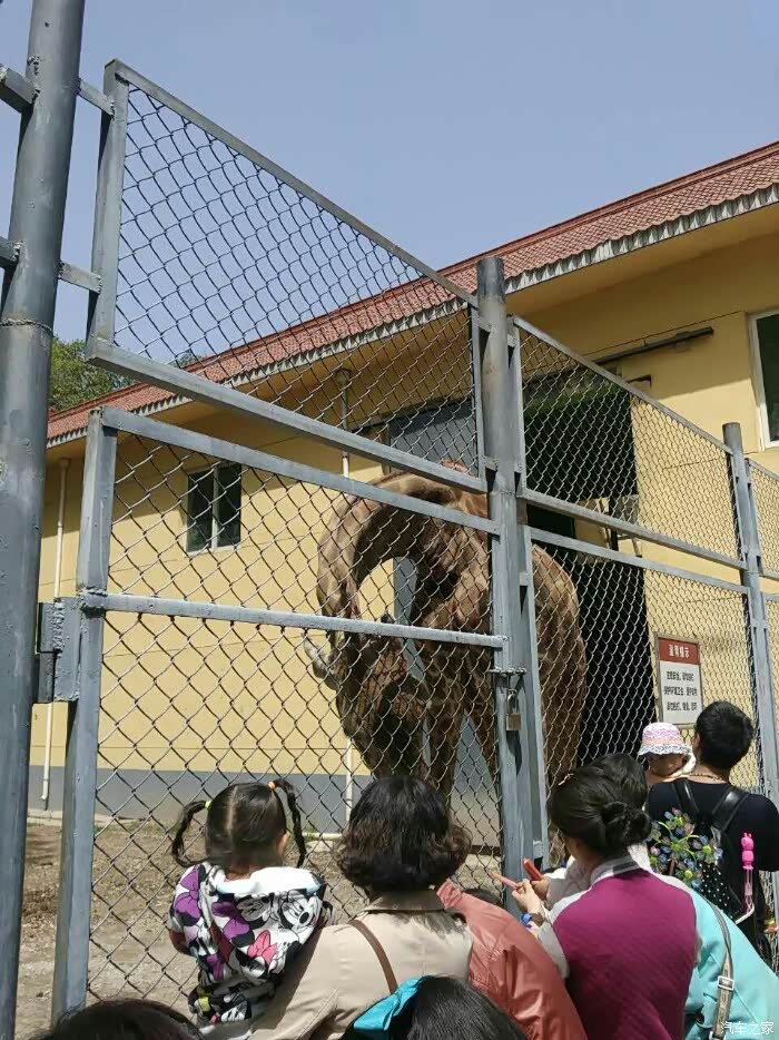 【图】看看宝鸡动物园勾起西安老动物园,回忆_陕西论坛_汽车之家论坛