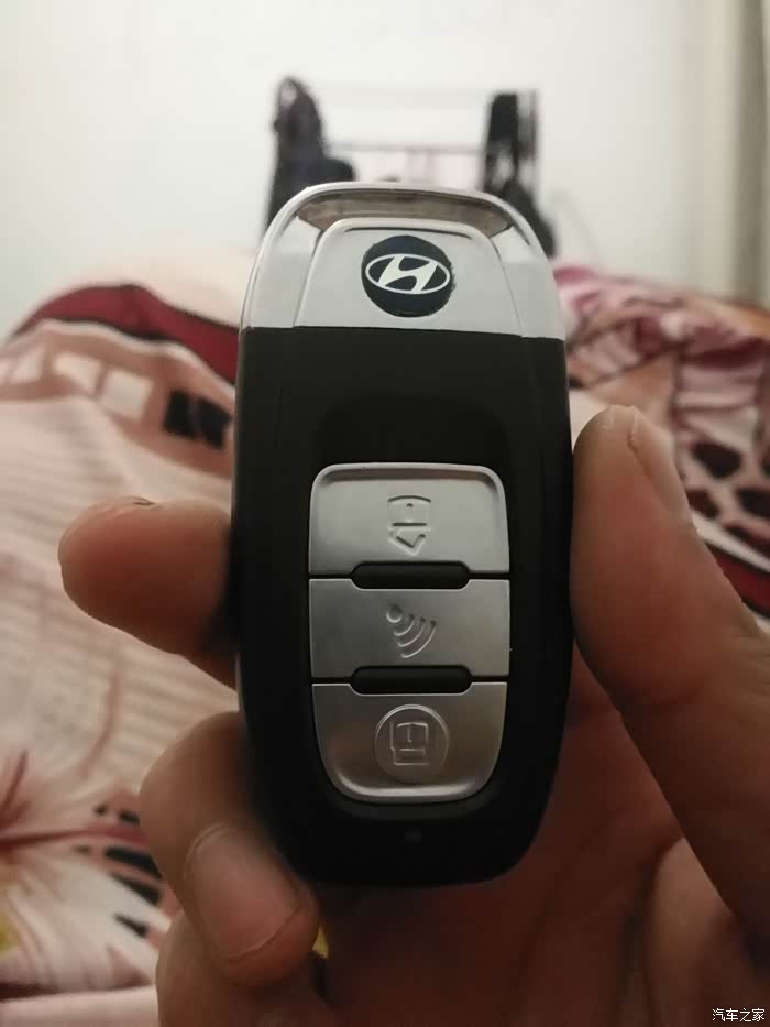领动车友们谁有的是这种车钥匙