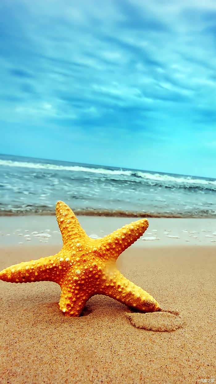 很漂亮的海星