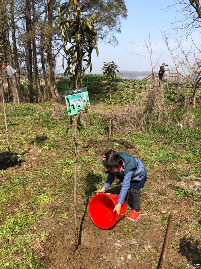 沃们的后花园沃尔沃车友环保植树主题活动