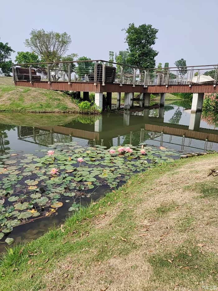 周末陪闺女游广汉湿地公园