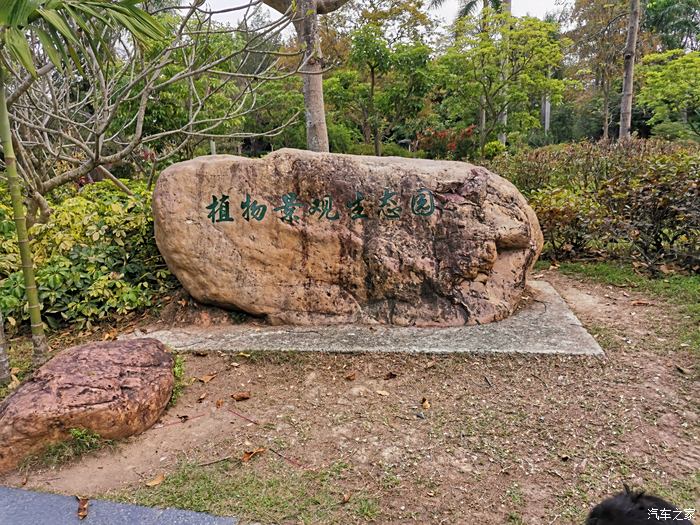 天然氧吧——華南植物園