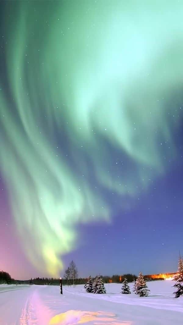 这次旅行不仅看见了樱花,而且还看见了极光,好棒.