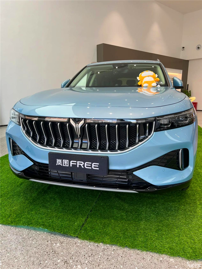 岚图free论坛_汽车之家论坛