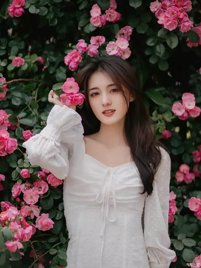 全国高颜值的妹子和蔷薇媲美谁更美