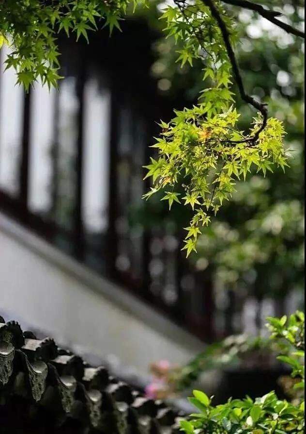 草色如青似碧,木葉欣欣向榮,一切美好都隨著春天的到來破土而出