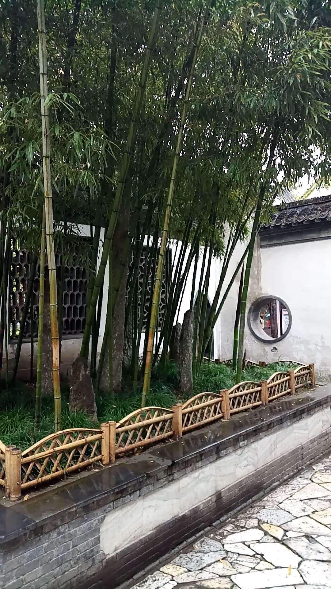 行走在路上,苏州园林的代表杰作,个园