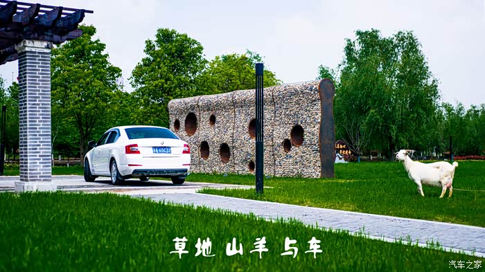 2021年草坪市场怎么样
