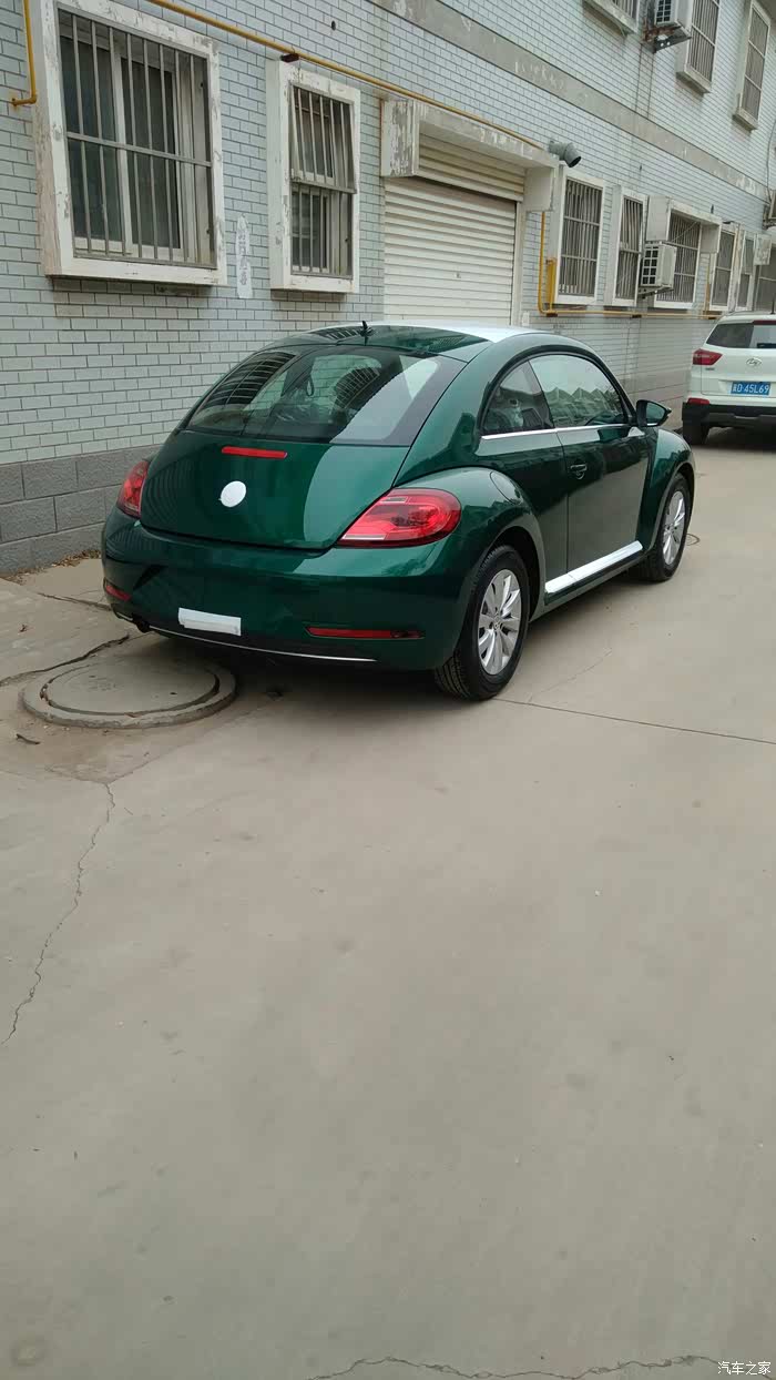 18款的甲壳虫宜乐版有竹篱绿这个颜色么