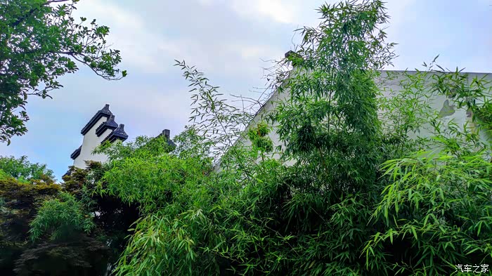 盛夏的古庄生态园