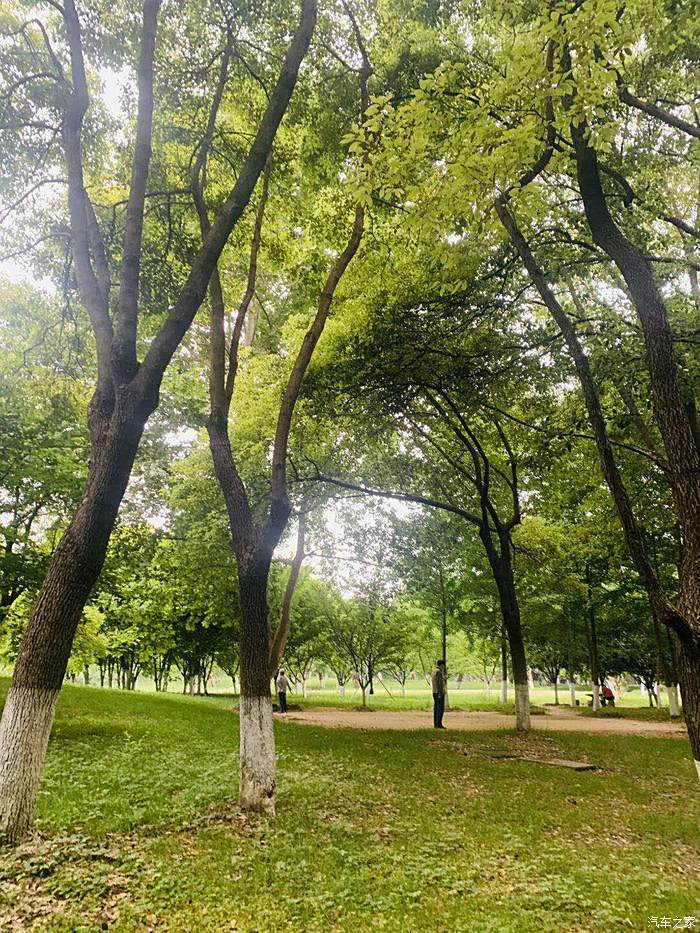 郁郁葱葱的树林帮我们挡住了初夏火辣的阳光,享受片刻的清凉.