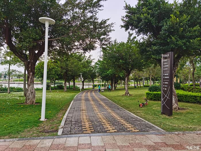寻找自由探寻官渡公园的自然之美又是一场说走就走的旅行