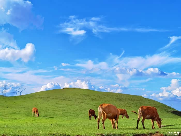 开上伴我九年的老q5 浪迹草原