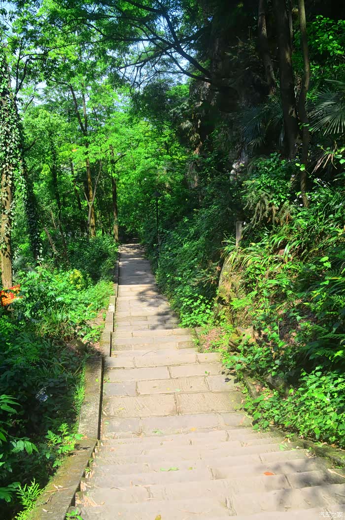 空气清新的上山步道.