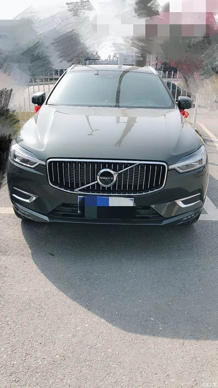 松林灰是什么样子的,有图片吗