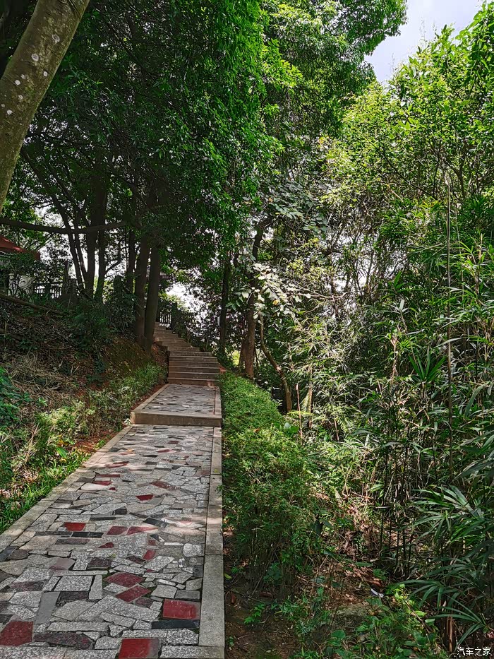 广州周末遛娃好去处天麓湖森林公园