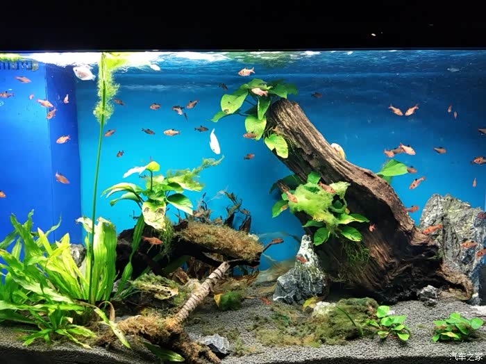 在巴中我们游玩海洋乐园