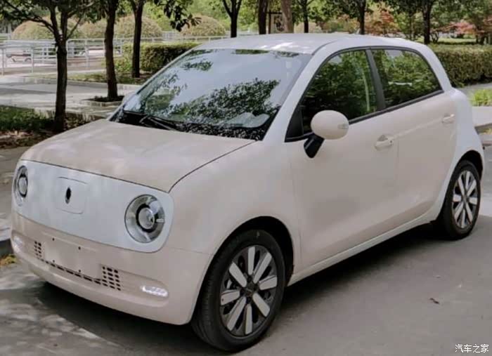 欧拉白猫欧拉黑猫有没有便宜的一起团购