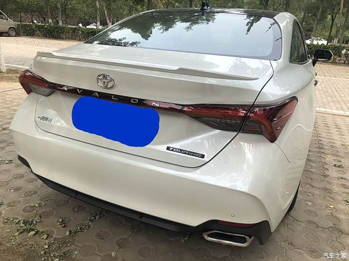 亚洲龙优雅骑士