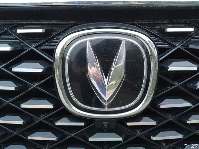 中网醒目的长安标,设计的很到位