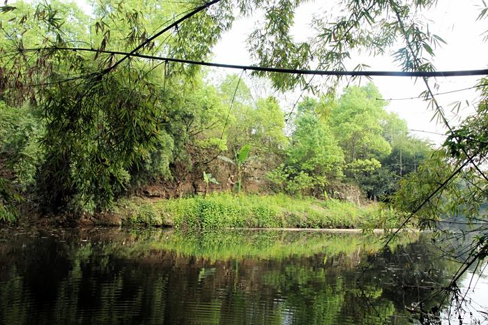 端午佳節,s60帶我看看已成記憶的龍馬潭公園