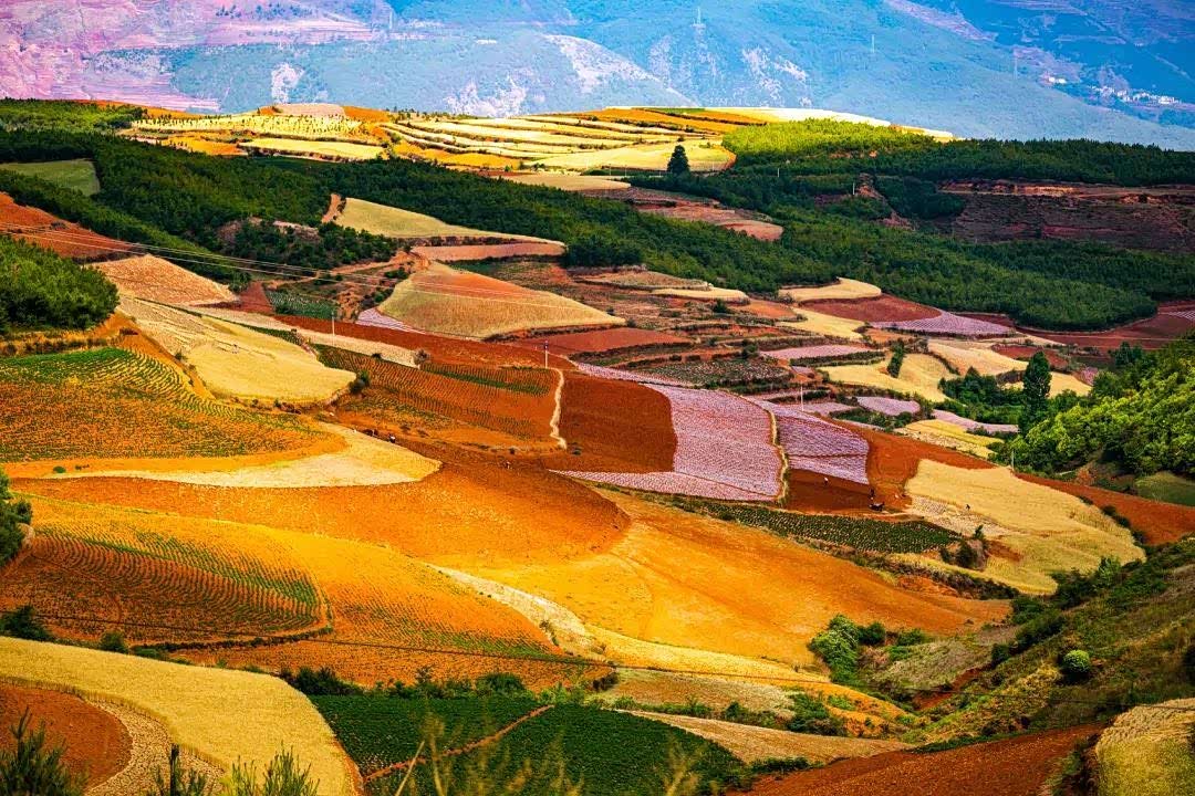 云南省的东川红土地好似上帝打翻的调色板