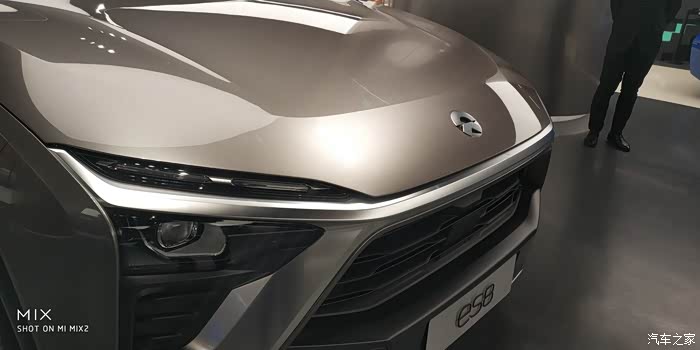 谁有极光棕的高清大图