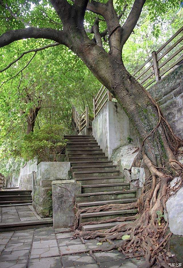 迎暖春送積分重慶山城步道