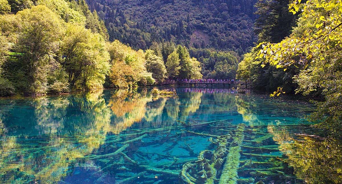 九寨沟是一条被森林所覆盖的山沟这里彩林漫漫炫雅妩媚美呀