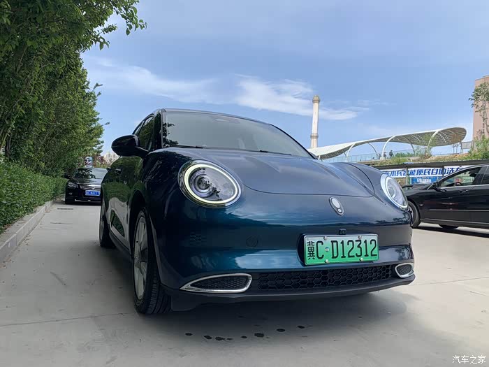 天空很蓝好猫很美