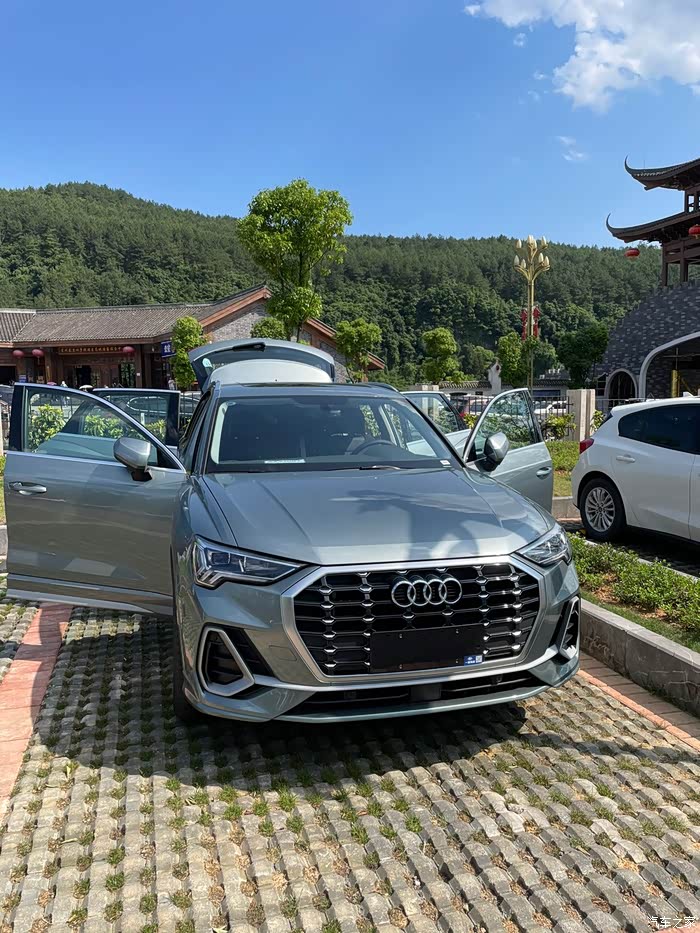 纠结的q3鳄鱼绿