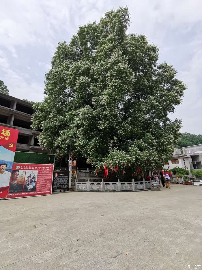 洛阳五月,重渡沟一日游