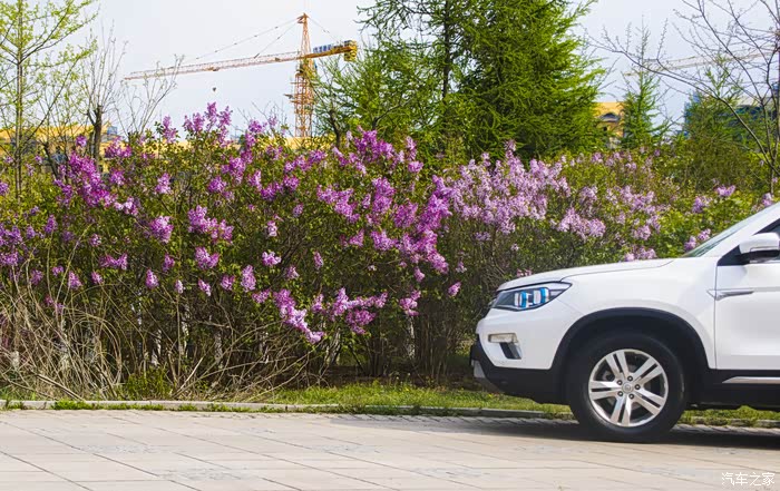 独坐空山思五陵,丁香花发又逢春!