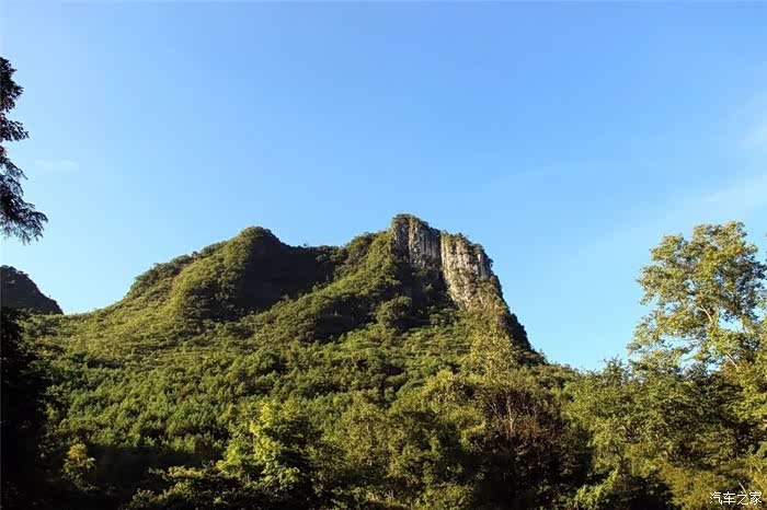 水上森林走出来,就是龟背山,龟背山上原始植物密布,这里的龟背竹也