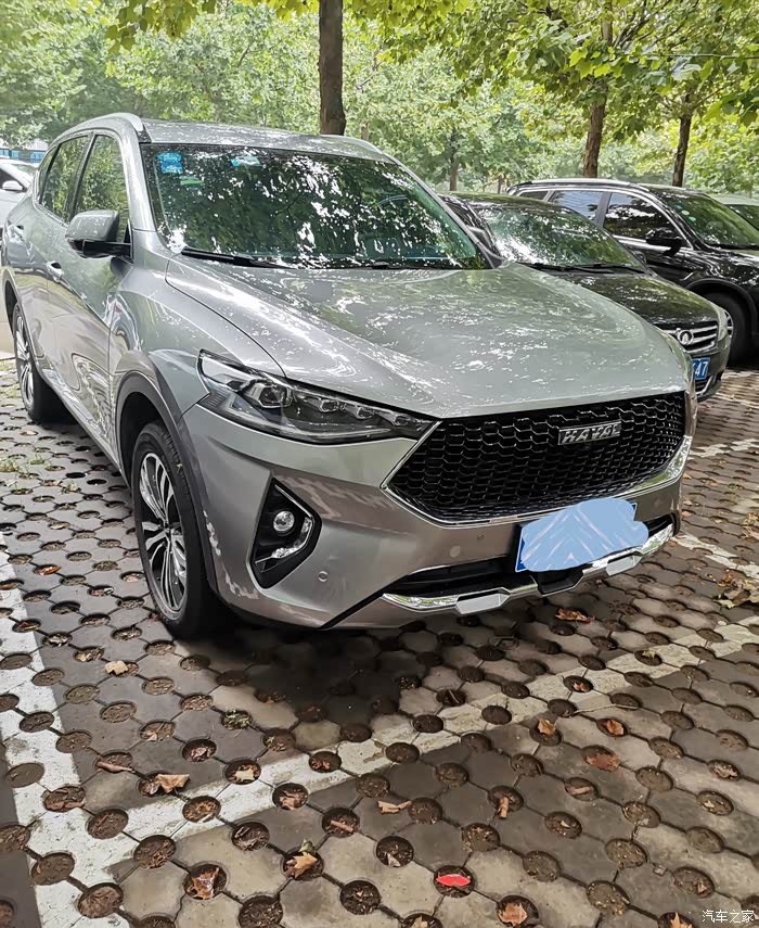 银色低调中彰显奢华,前脸设计也很大气吧.