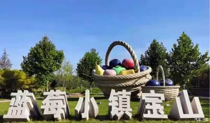 多彩六月青岛蓝莓之旅