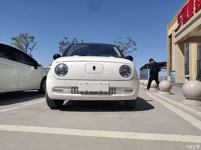 熊猫色的大眼萌仔小欧拉r1