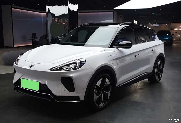 【图】"以梦为马,不负韶华"欣赏静态北极狐_极狐 阿尔法t(arcfox αt)