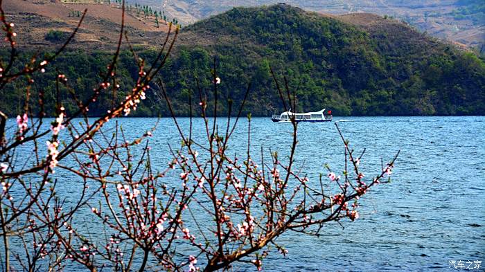 在那桃花盛開的地方五一丹東寬甸河口桃花島遊記