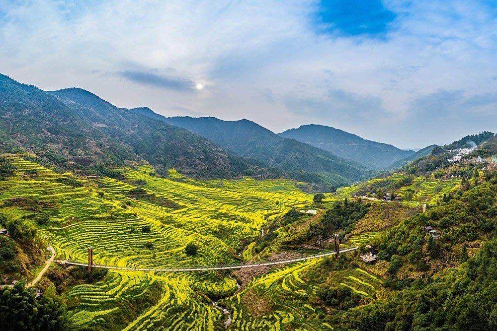 江西婺源,篁嶺油菜花.