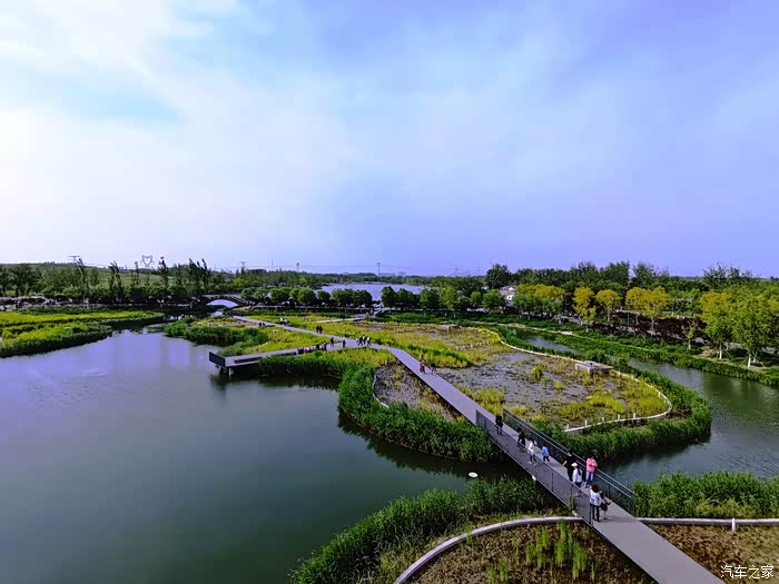 春暖花开绿草如茵打卡北京温榆河郊野公园