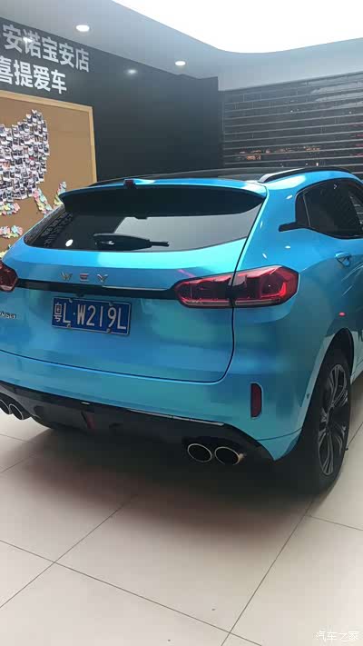 我收集的一些wey贴膜改色改装分享给大家参考一下