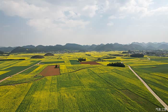 【图】"国际油菜花文化旅游节主会场"罗平油菜花观赏地_四川论坛_汽车