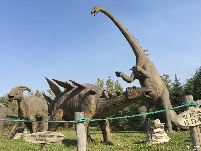 点亮你心中的光#沈阳世博园