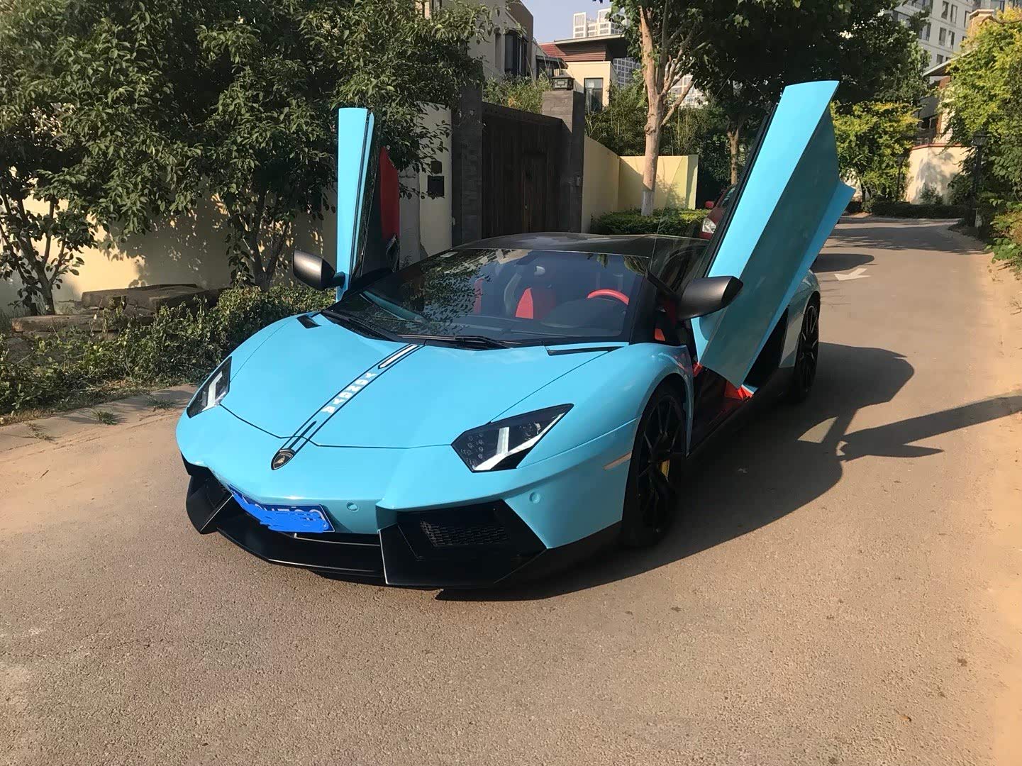 【图】大牛的实力不是一般车型能比的_兰博基尼论坛_汽车之家论坛