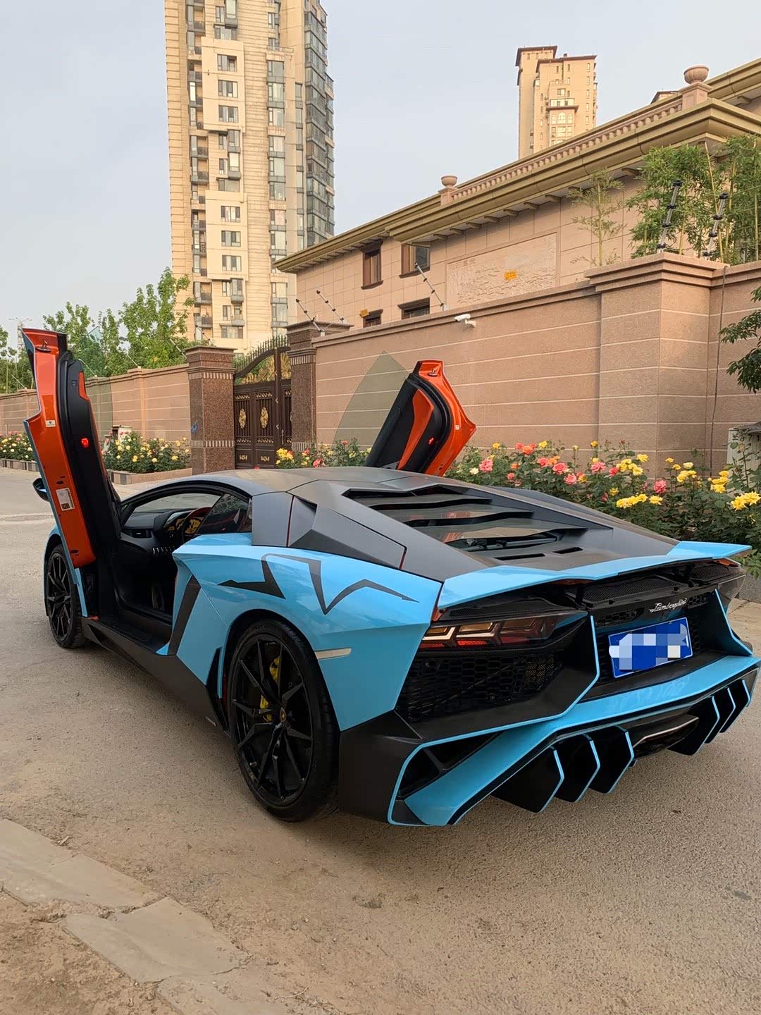 【图】大牛的实力不是一般车型能比的_兰博基尼论坛_汽车之家论坛