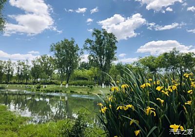 夏季的三里河公園