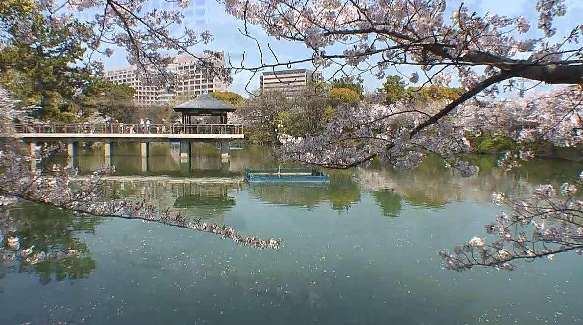 鹤舞公园是名古屋第一座西洋风的公园